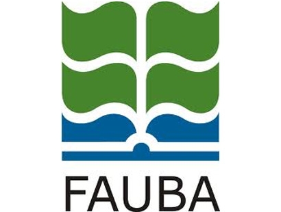 PROYECTOS DE INVESTIGACIÓN DE 3ºN 2008